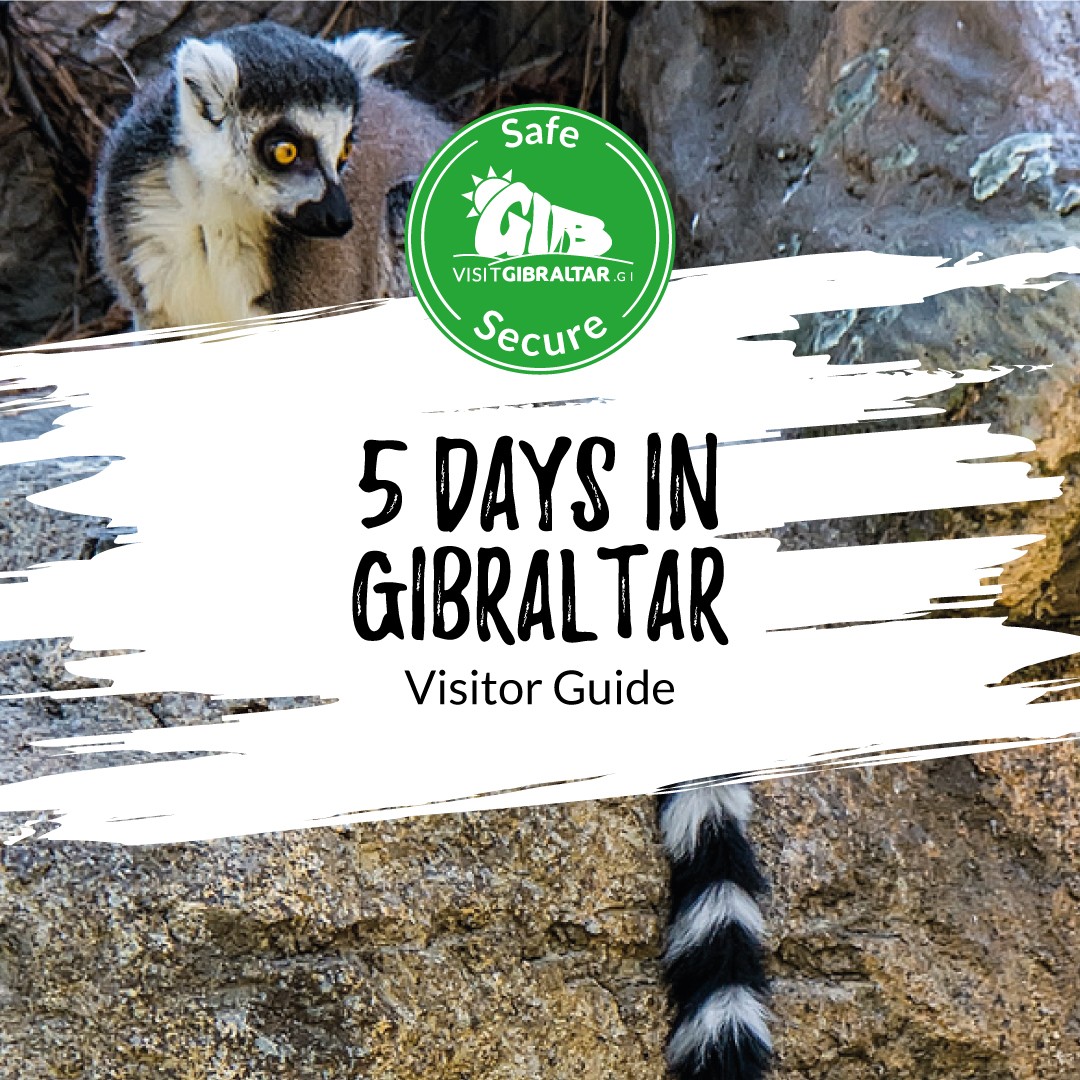 Image of 5 days in Gibraltar Visitor Guide