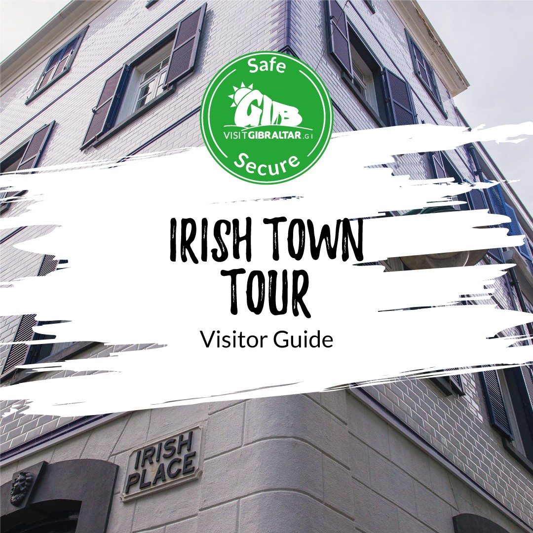 Image of Irish Town Tour Visitor Guide