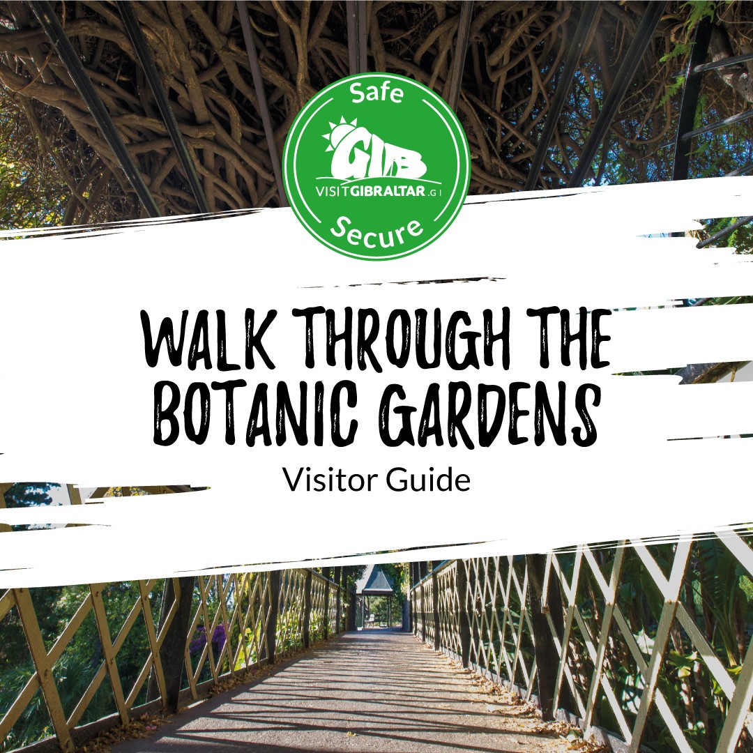 Image of Walk through the Botanic Gardens Visitor Guide